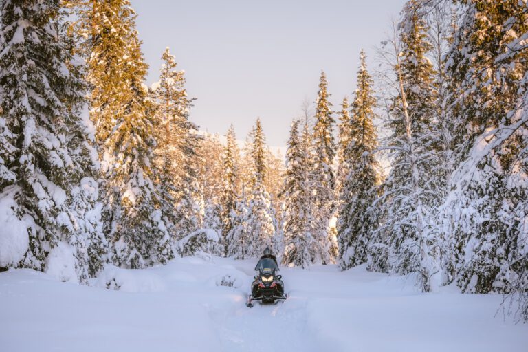 Lapland Travel Snowscooter